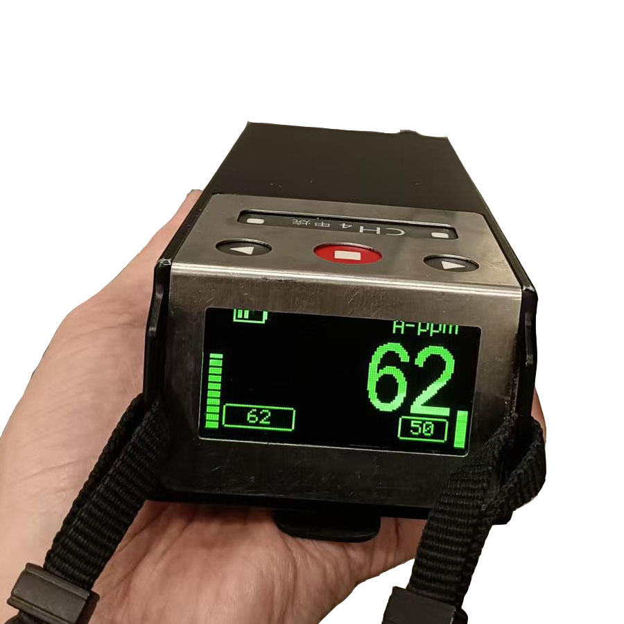 Portable Rmld TDLAS Laser Methane Gas Reader CH4 Leak Detector With Probe